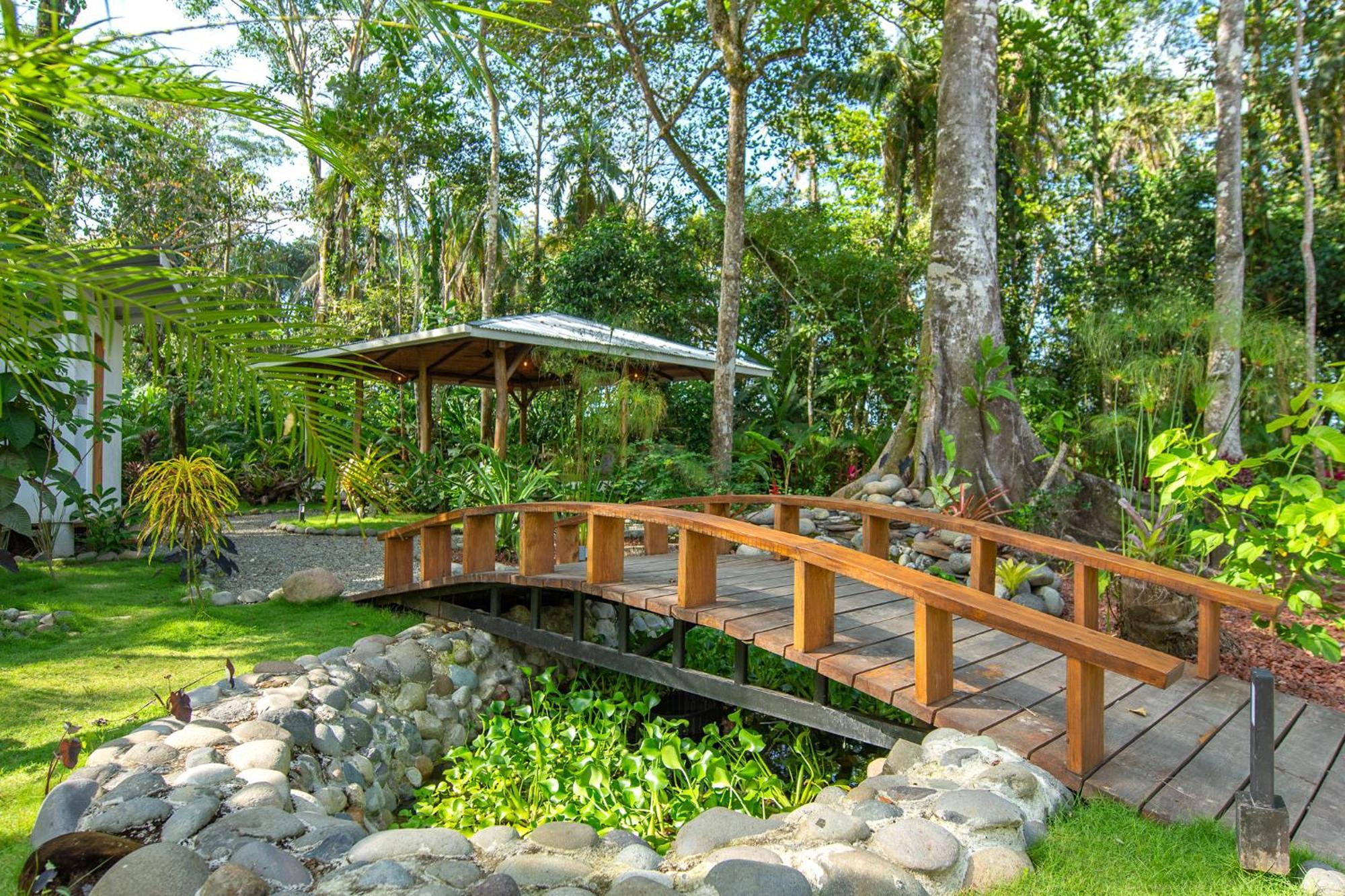 Dragonfly Beachfront Villas-Adult Only Пунта Ува Екстериор снимка