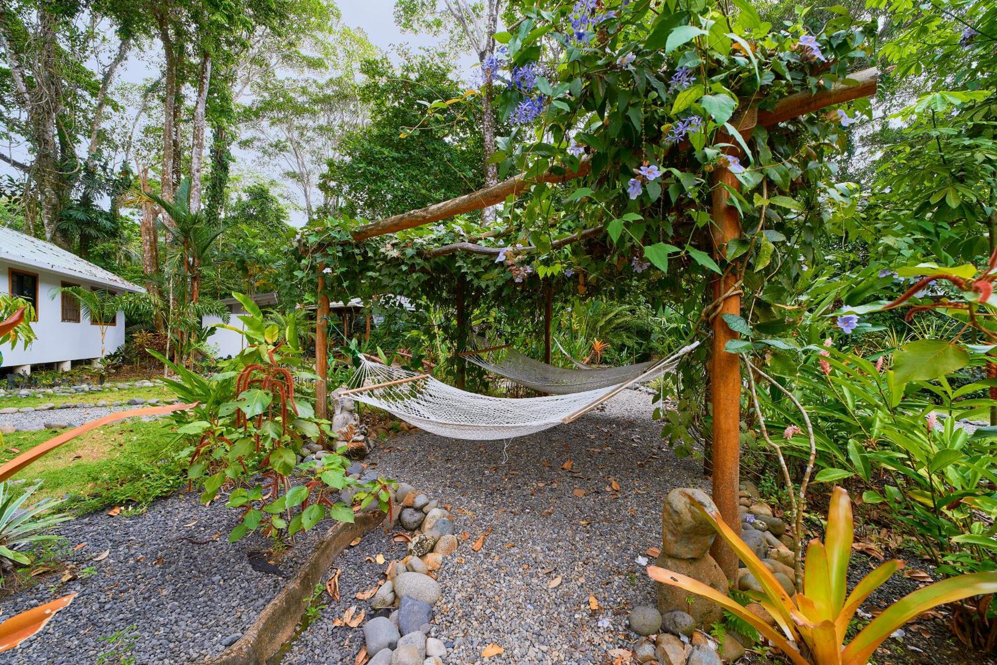 Dragonfly Beachfront Villas-Adult Only Пунта Ува Екстериор снимка
